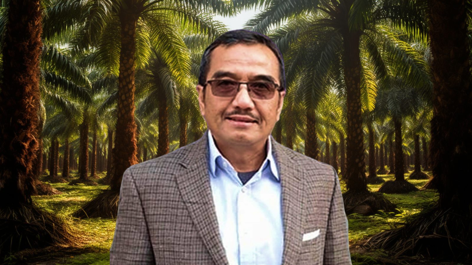 Navigating the Future: Indonesia's Palm Oil Industry and the Path to Sustainability