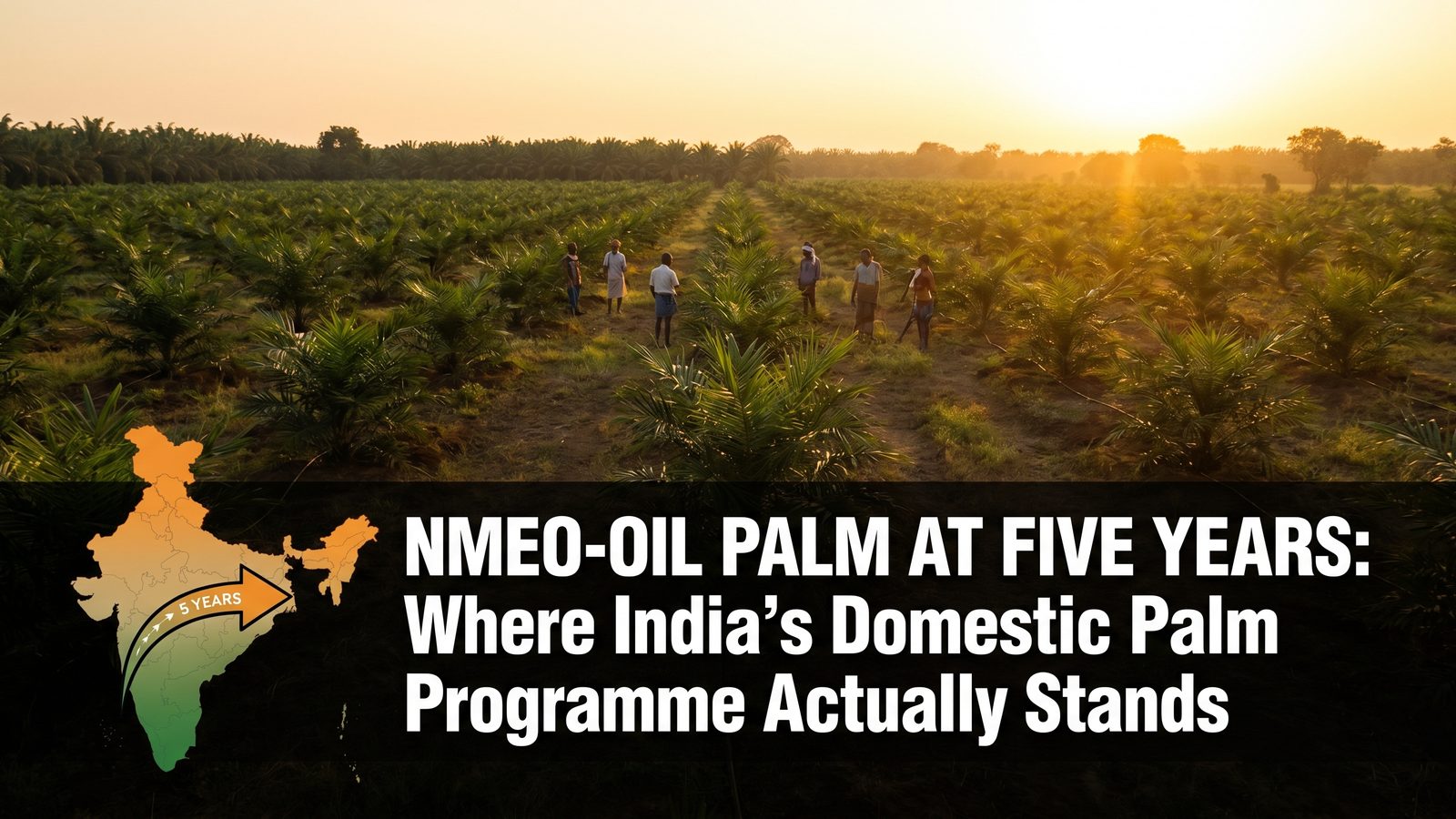 NMEO-Oil Palm at Five Years: Where India's Domestic Palm Programme Actually Stands