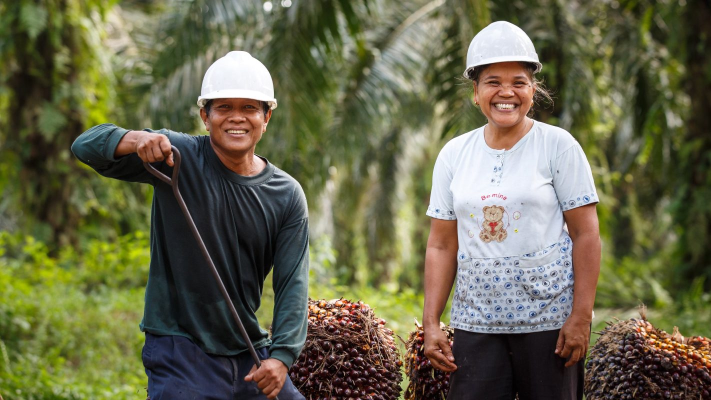 Sustainability in Palm Oil Sector Amidst Uncertainty: Insights from RSPO